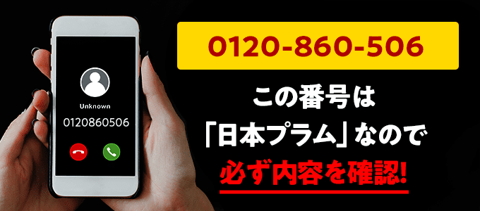 0120860506は日本プラム