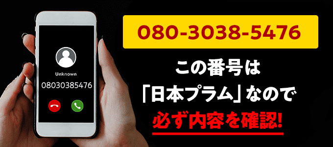 08030385476は日本プラム